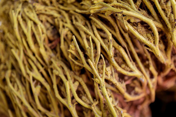 Colored dried seaweed shaped into decorative balls