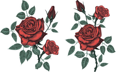 Realistic red Roses - Vintage vector roses isolated