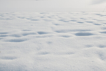 White fresh snow texture detail background