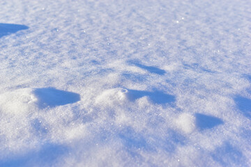 Snowy surface in winter with shadows in the evening