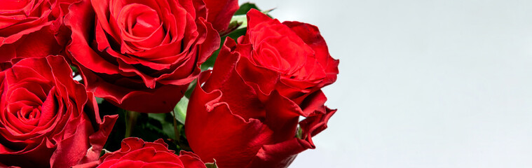 Banner of beautiful bouquet of red roses close up on a white background. Horizontal photo banner for website header design