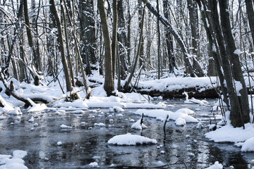 Grunewaldkanal im Winter #1