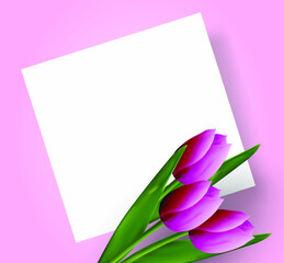 
Pink tulips on a pink background. Floral template for postcard, invitation, banner, poster. Realistic 3D Vector.