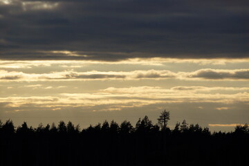 sunset over the field