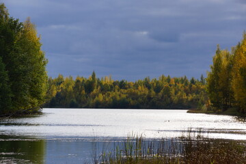 autumn landscape with lake