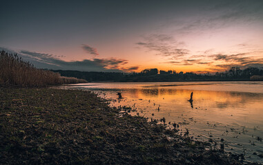 Naklejka premium Sunrise on river