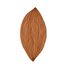 Nut icon on isolated background. Almond vector illustration. Hand drawn heathy snack .