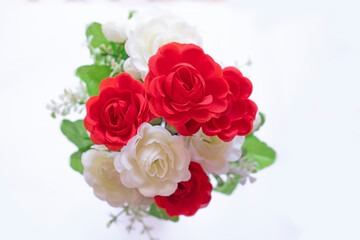 Obraz na płótnie Canvas Beautiful red and white roses isolated on white
