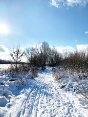 Snowy road in the forest