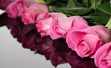 Bouquet of pink roses. Great reflection. Greeting card for Valentine's Day and birthday