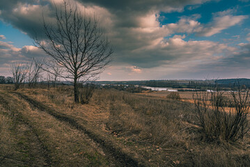 Spring landscape