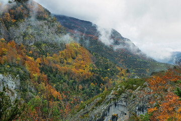 Gorgeous forest in Hecho Valley, Aragonese pyrenees, Huesca province, Spain