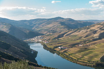 Douro Valley, Portugal. Top view of river, and the vineyards are on a hills.