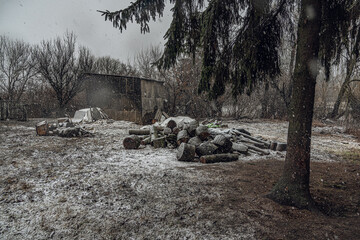 Obraz premium Spring landscape