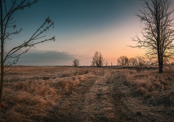Fototapeta premium Winter moring among fields
