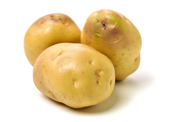 potato on a white background