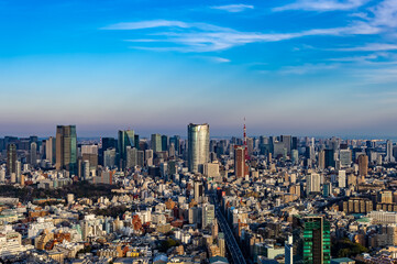 東京都渋谷区から見た東京の都市景観