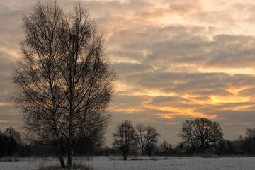 Fototapeta na wymiar Wschód Słońca zimą