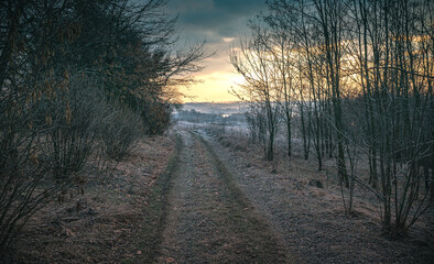 Naklejka premium Winter moring among fields
