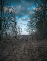 Winter moring among fields