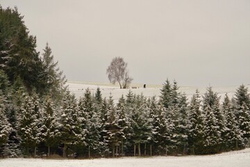 Winterlandschaft im Taunus.