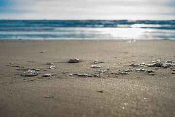 footprints in the sand