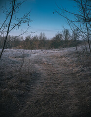 Winter moring among fields