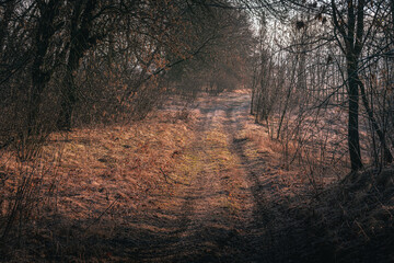 Winter moring among fields