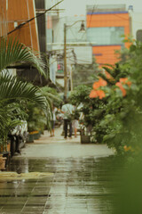 Obraz premium street