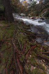 Otoño en la Sierra de Guadarrama