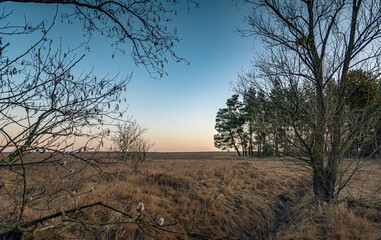 Winter moring among fields