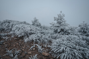 Invierno en Madrid