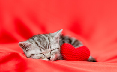 Tabby kitten sleeps with red heart on satin bedding. Valentines day concept