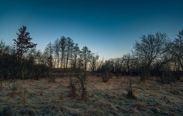 Fototapeta premium Winter moring among fields