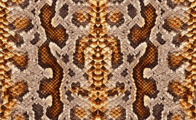 Seamless python skin, snake texture