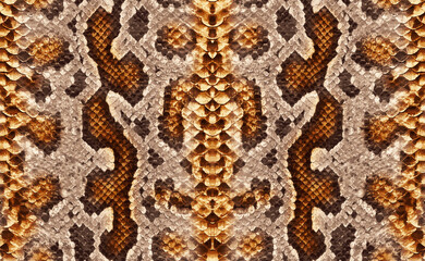 Seamless python skin, snake texture