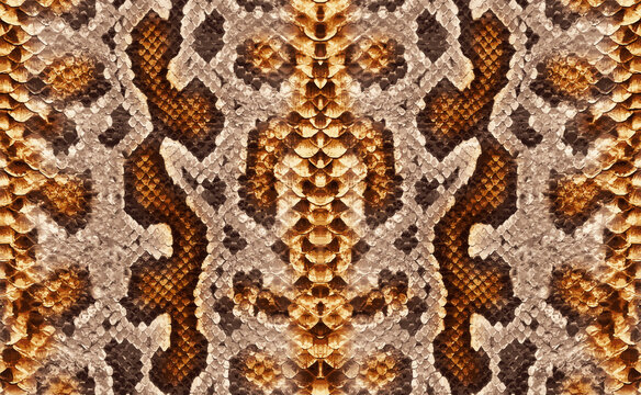 Seamless python skin, snake texture