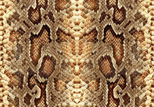 Seamless snake skin