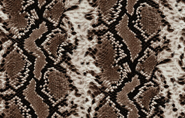 Seamless snake texture, animal print