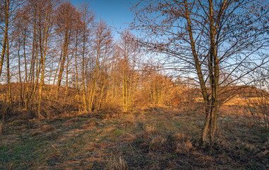 Obraz premium Sunrise on river