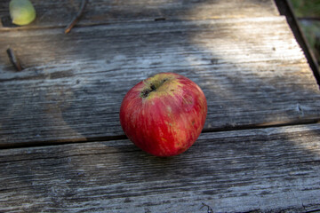 juicy ripe red apple on wooden background