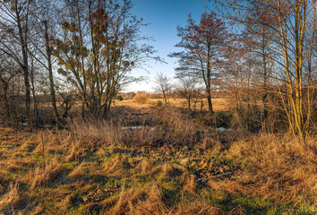 Fototapeta premium Sunrise on river