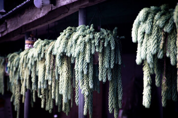 icicles hanging on a rope