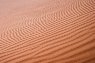 sahara