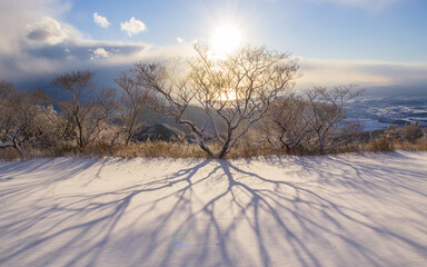 冬の平尾台貫山山頂からの朝日