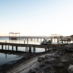 oyster and mussels farming