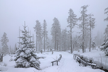 Wanderung zum Brocken