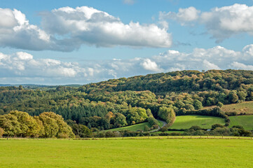 Fototapeta na wymiar landscape with hills in the autumn