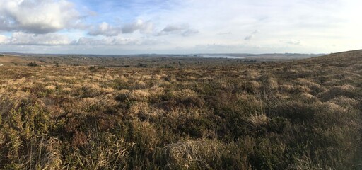 Dans les monts d'Arrées au parc d'Armorique en Bretagne Cornouailles Finistère	