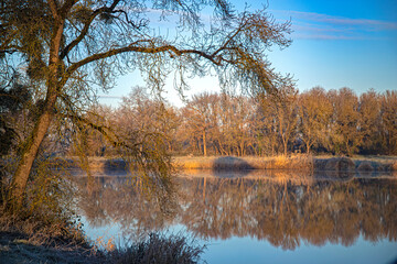 Fototapeta premium bords de Loire sous le brouillard, dizzinezz and fog on loire valley